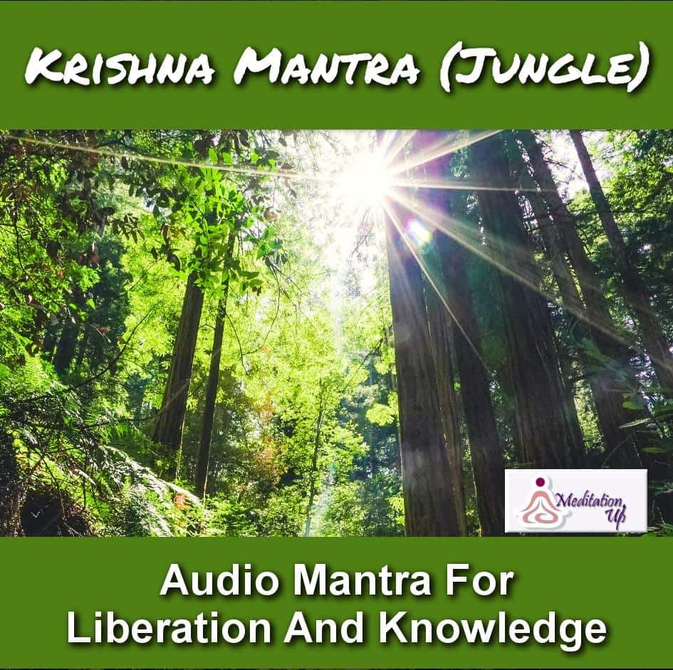 Krishna Mantra (Jungle) Audio - Meditation Up -